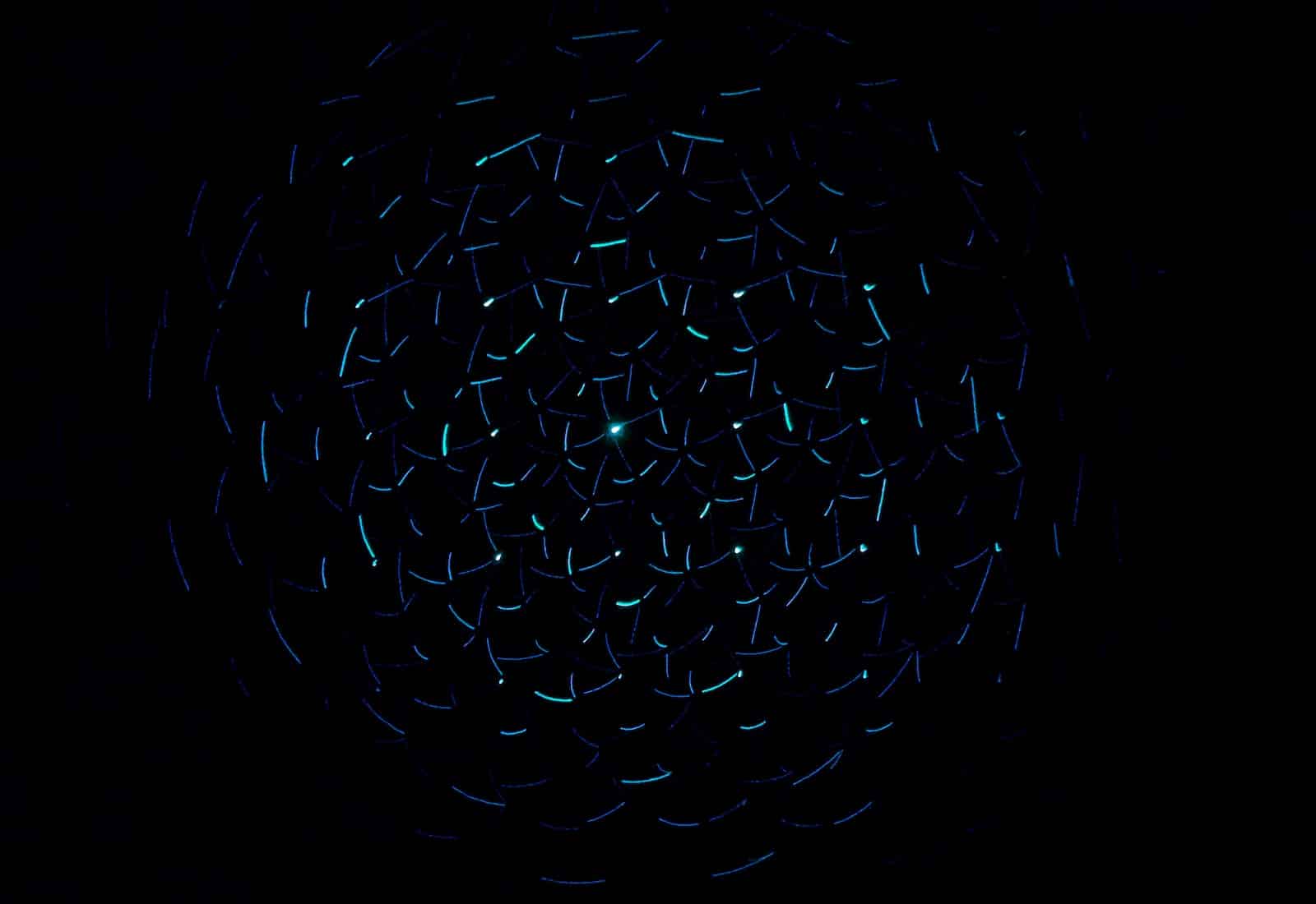 light decorations in dark area